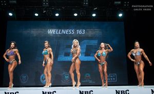 WELLNESS 163